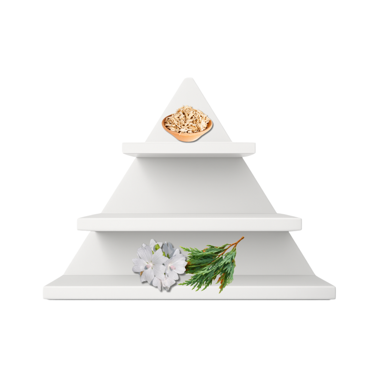 Midnight Cedar Duftpyramide